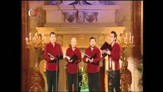 Q VOX - Odveden&eacute;ho prosba - Sen&aacute;t 02