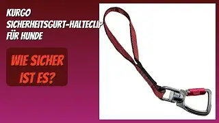 BEWERTUNG (2025): Kurgo Sicherheitsgurt-Halteclip f&uuml;r Hunde. Infos