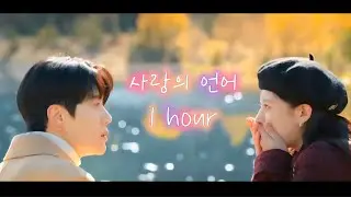 1 hour [이 사랑 통역 되나요? OST] 사랑의 언어 (Love Language) - 김민석 (멜로망스) / piano cover 