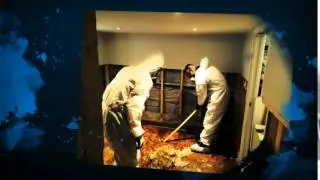 Cleanup Flooded Basement Toronto - Flood Services Canada