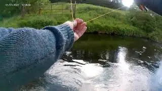 First visit of the Season to the River Devon #browntroutfishing #flyfishing