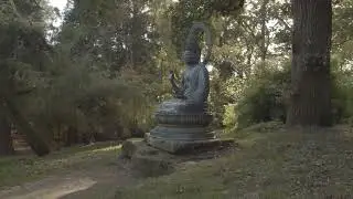 Tranquil Reflections: Buddha Sculpture and Peaceful Autumn Trees