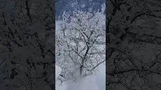 Enjoy👍 #explorepage #adventure #shortsfeed #videoshort