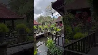 Warung Mina Dalung Tropical Bali