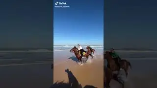 Horses run on the beach horse run foryou yassine_cavalier