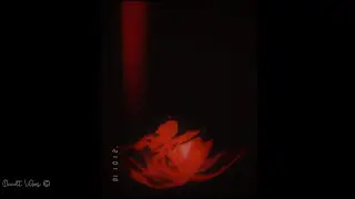 Chal ve tu bandeya &ndash; SLOWED + REVERB 💖 3am Acoustic Melody 💖 | 🎧 Sad Indie Lofi 💖
