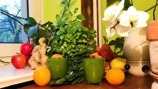 Basil Orange Apple Pear Spinach Juice ~ Take 3