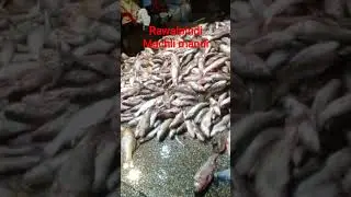 #rawalpindi #machlimandi#viws #viral #videos