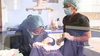 CLÍNICA DENTAL DEL SUR | Odontología 3D