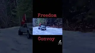 Freedom! #shorts #rc #canada #freedomconvoy