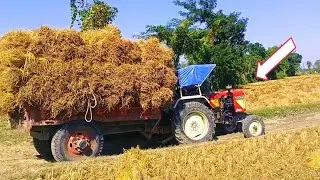 इस वर्ष का पहला धान परिवहन | Eicher 242 tractor trolley carrying the first paddy of the year