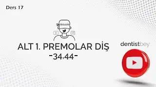 DERS-17 ALT 1.PREMOLAR DİŞLERİN ÖZELLİKLERİ (34-44)