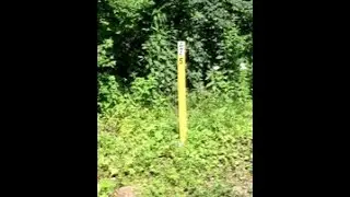 Windrock Trail 5, G6, and G39