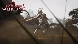 Black Myth Wukong Secret Boss Fights