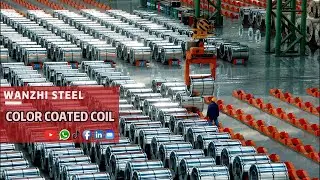 【PPGI Coil】-Color Coated Coil Store display | Wanzhi Steel