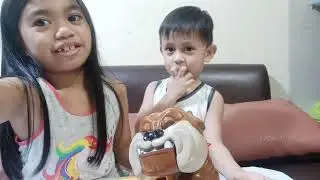playing with bad dog toy!! challenge