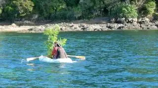 Planting June 2016 - Moturua Island - Guardians of Bay of Islands