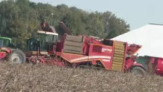 GRIMME VARITRON 470 Platinum TERRA TRAC  New generation of 4 row self propelled Harvesters