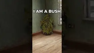 СМЕШНЫЕ И УДИВИТЕЛЬНЫЕ моменты в WARZONE #Warzone #Cursed #Funny