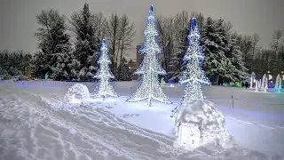 ❄️Winter Lights at Lafarge Lake❄️