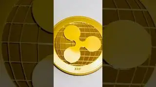 Wrapped XRP Dreams: 3 People Share Their Visions