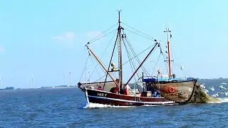 Mit dem Fischkutter vor Wangerooge