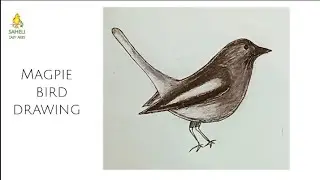 How to draw magpie bird step by step for beginners|| easy bird drawing tutorials | নীলকন্ঠ পাখি আঁকা