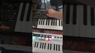medieval style acid electronic music