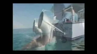 Blue Water Ventures - Promo Video