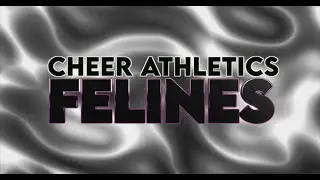 Cheer Athletics Felines 2023-2024