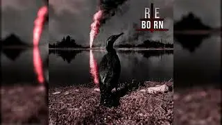 Reborn - Duck Tape