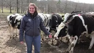 Cummings School Celebrates World Veterinary Day