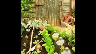 TOP TEN BEST FOODS FOR YOUR PREPPER GARDEN!