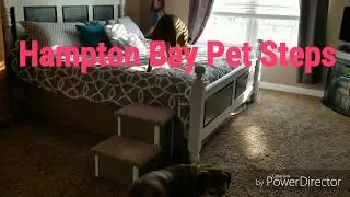 Pet Steps for Both Big & Small Dogs