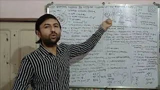 Loop Quantum Gravity for Everyone - Chapter - 3 - The Quantum Theory 
