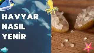 Havyar Nasıl Yenir ?