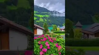 🌿🌺 Lungern village, canton of Obwalden, Switzerland 🇨🇭...#videos #shortsvideo #flowerslovers