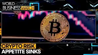 Crypto Market in a State of Limbo | WORLD BUSINESS WATCH | WION