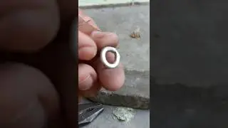 kabooter ke ring banae Ghar par he 🕊️👍❤️ SUBSCRIBE now ❤️ #pigeon #shortvideos #kabootar #viral