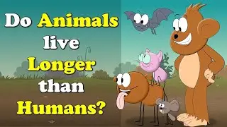 Do Animals live Longer than Humans? + more videos | #aumsum #kids #science #education #children
