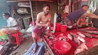 Expert Handling Huge Katla Fish in Market | 123 Dance Media