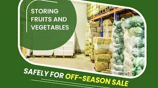Whole Frozen Foods Green peas Paneer Freezer Room Cold Storage Gujarat