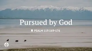 Pursued by God | Audio Reading | Our Daily Bread Devotional | October 16, 2025