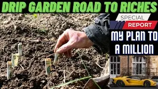 ROAD TO RICHES WITH THE DRIP GARDEN | MY PLAN FOR 1,000,000