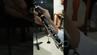 Yamaha Custom SEVR clarinet