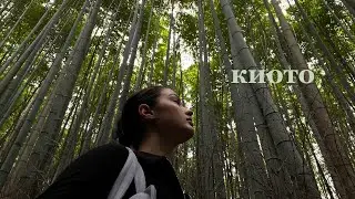 пригласили на ужин в киото как блогера, гуляю одна, храмы, замки, | уютный влог