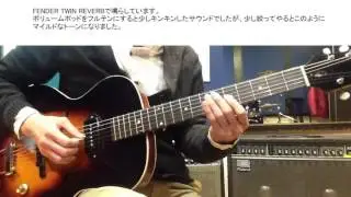 THE LOAR LH-301T with FENDER TWIN REVERB Jazz Guitar