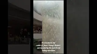 world biggest indoor water fall@changiairport @WaterfallAcrylics