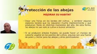 Proteja la salud de las abejas con buenas prácticas agrícolas