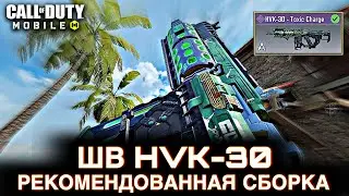 Рекомендованная сборка ШВ HVK 30 / Сетевая игра / CALL OF DUTY MOBILE / LUMUMBA RUMUMBA / 12+